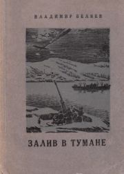 Книга - Залив в тумане.  Владимир Павлович Беляев  - прочитать полностью в библиотеке КнигаГо