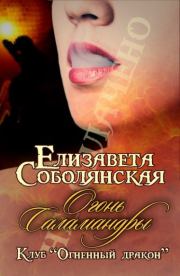 Книга - Огонь Саламандры.  Елизавета Владимировна Соболянская  - прочитать полностью в библиотеке КнигаГо