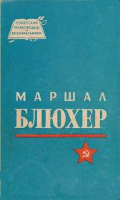 Книга - Маршал Блюхер.  Николай Дмитриевич Кондратьев  - прочитать полностью в библиотеке КнигаГо