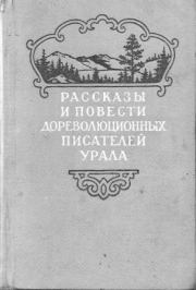 Книга - Ибрагим.  Александр Гаврилович Туркин  - прочитать полностью в библиотеке КнигаГо