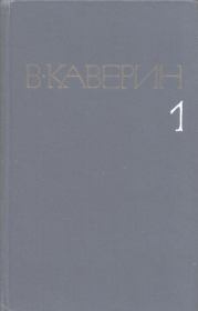Книга - Пятый странник.  Вениамин Александрович Каверин  - прочитать полностью в библиотеке КнигаГо