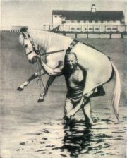 Конь на белом принце (СИ). Анна Семироль