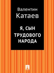 Книга - Я, сын трудового народа.  Валентин Петрович Катаев  - прочитать полностью в библиотеке КнигаГо