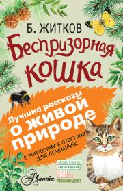 Книга - Беспризорная кошка.  Борис Степанович Житков , Алексей Александрович Мосалов  - прочитать полностью в библиотеке КнигаГо