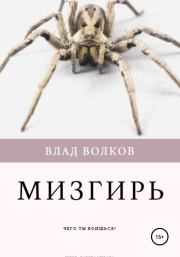 Книга - Мизгирь.  Влад Волков  - прочитать полностью в библиотеке КнигаГо