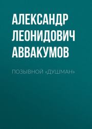Позывной «Душман». Александр Аввакумов