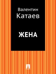 Книга - Жена.  Валентин Петрович Катаев  - прочитать полностью в библиотеке КнигаГо
