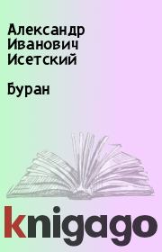 Книга - Буран.  Александр Иванович Исетский  - прочитать полностью в библиотеке КнигаГо