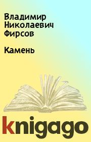 Книга - Камень.  Владимир Николаевич Фирсов  - прочитать полностью в библиотеке КнигаГо