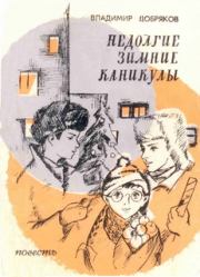 Книга - Недолгие зимние каникулы.  Владимир Андреевич Добряков  - прочитать полностью в библиотеке КнигаГо