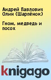 Книга - Гном, медведь и посох.  Андрей Павлович Олин (Шарпёнок)  - прочитать полностью в библиотеке КнигаГо