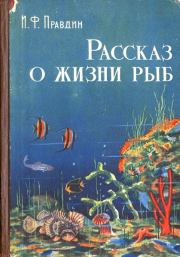 Книга - Рассказ о жизни рыб.  Иван Федорович Правдин  - прочитать полностью в библиотеке КнигаГо
