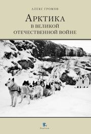 Книга - Арктика в Великой Отечественной Войне.  Алекс Бертран Громов  - прочитать полностью в библиотеке КнигаГо