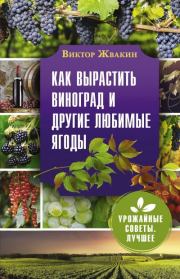 Книга - Как вырастить виноград и другие любимые ягоды.  Виктор Владимирович Жвакин  - прочитать полностью в библиотеке КнигаГо