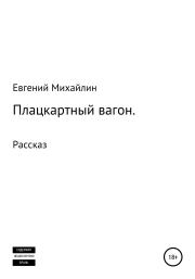 Книга - Плацкартный вагон.  Евгений Алексеевич Михайлин  - прочитать полностью в библиотеке КнигаГо