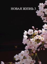 Книга - Новая жизнь 3 (СИ).  Виталий Хонихоев  - прочитать полностью в библиотеке КнигаГо