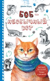 Книга - Боб – необычный кот.  Джеймс Боуэн  - прочитать полностью в библиотеке КнигаГо