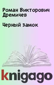Книга - Черный замок.  Роман Викторович Дремичев  - прочитать полностью в библиотеке КнигаГо