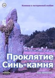 Книга - Проклятие Синь-камня: книжка о потерянной любви.  Олег Шамонаев  - прочитать полностью в библиотеке КнигаГо