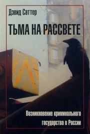Книга - Тьма на рассвете. Возникновение криминального государства в России.  Дэвид Саттер  - прочитать полностью в библиотеке КнигаГо