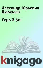 Книга - Серый бог.  Алесандр Юрьевич Шамраев  - прочитать полностью в библиотеке КнигаГо