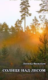 Книга - Солнце над лесом (сборник).  Леонид Михайлович Васильев  - прочитать полностью в библиотеке КнигаГо