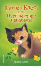 Книга - Котёнок Клео, или Путешествие непоседы.  Холли Вебб  - прочитать полностью в библиотеке КнигаГо