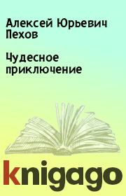 Книга - Чудесное приключение.  Алексей Юрьевич Пехов  - прочитать полностью в библиотеке КнигаГо