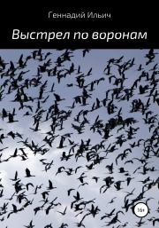 Книга - Выстрел по воронам.  Геннадий Владимирович Ильич  - прочитать полностью в библиотеке КнигаГо