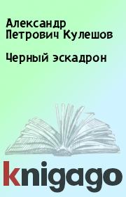 Книга - Черный эскадрон.  Александр Петрович Кулешов  - прочитать полностью в библиотеке КнигаГо