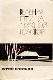 Книга - Женя Румянцева.  Юрий Маркович Нагибин  - прочитать полностью в библиотеке КнигаГо