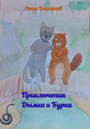 Книга - Приключения Дымка и Бурка.  Игорь Дмитриев  - прочитать полностью в библиотеке КнигаГо