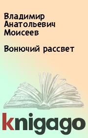 Книга - Вонючий рассвет.  Владимир Анатольевич Моисеев  - прочитать полностью в библиотеке КнигаГо