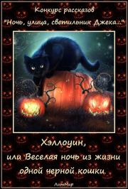 Книга - Хэллоуин, или Веселая ночь из жизни одной черной кошки (СИ).  Таланты Литмировские  - прочитать полностью в библиотеке КнигаГо
