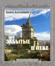 Книга - Забытые в небе.  Борис Борисович Батыршин  - прочитать полностью в библиотеке КнигаГо