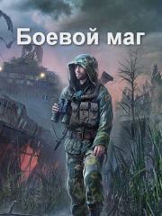 Книга - Боевой маг.  Роман Соловьёв  - прочитать полностью в библиотеке КнигаГо