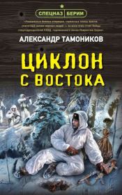 Книга - Циклон с востока.  Александр Александрович Тамоников  - прочитать полностью в библиотеке КнигаГо