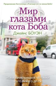 Книга - Мир глазами кота Боба. Новые приключения человека и его рыжего друга.  Джеймс Боуэн  - прочитать полностью в библиотеке КнигаГо