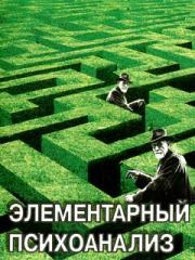 Книга - Элементарный психоанализ.  Михаил Михайлович Решетников  - прочитать полностью в библиотеке КнигаГо