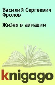 Книга - Жизнь в авиации.  Василий Сергеевич Фролов  - прочитать полностью в библиотеке КнигаГо