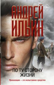 Книга - По ту сторону жизни.  Андрей Александрович Ильичев (Ильин)  - прочитать полностью в библиотеке КнигаГо