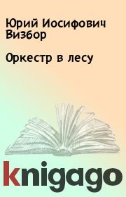Книга - Оркестр в лесу.  Юрий Иосифович Визбор  - прочитать полностью в библиотеке КнигаГо