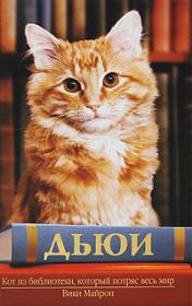 Книга - Дьюи. Кот из библиотеки, который потряс весь мир.  Вики Майрон  - прочитать полностью в библиотеке КнигаГо