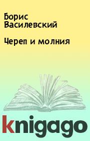 Книга - Череп и молния.  Борис Василевский  - прочитать полностью в библиотеке КнигаГо