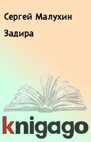 Книга - Задира.  Сергей Малухин  - прочитать полностью в библиотеке КнигаГо