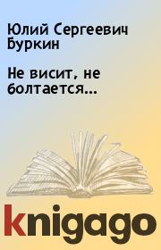 Книга - Не висит, не болтается….  Юлий Сергеевич Буркин  - прочитать полностью в библиотеке КнигаГо