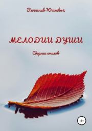 Книга - Мелодии души.  Вячеслав Юшкевич  - прочитать полностью в библиотеке КнигаГо