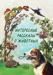Книга - Интересные рассказы о животных.  Н П Рудакова  - прочитать полностью в библиотеке КнигаГо
