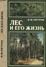 Книга - Лес и его жизнь.  Владимир Владимирович Петров  - прочитать полностью в библиотеке КнигаГо