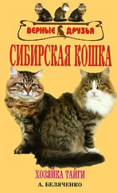 Сибирская кошка. Андрей Александрович Беляченко